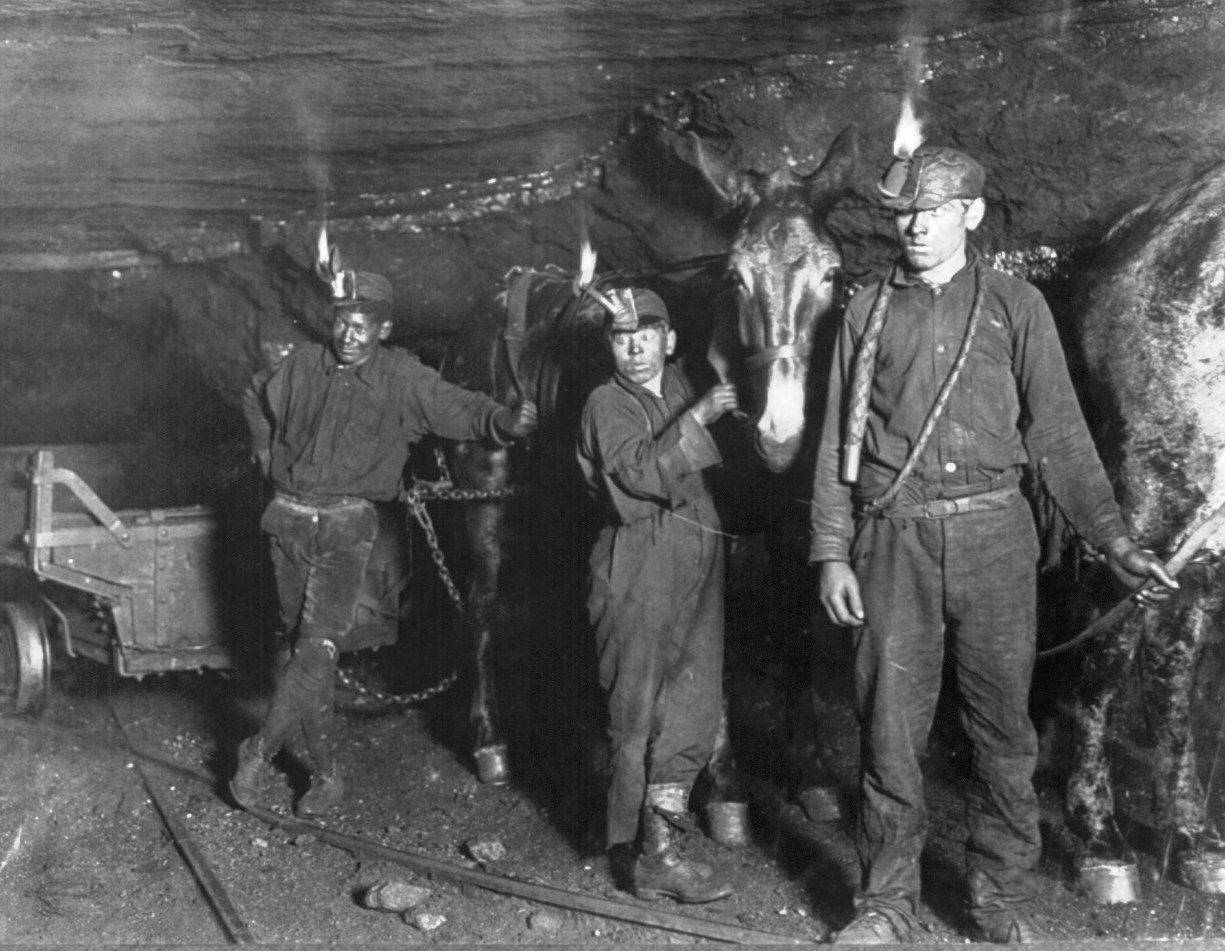 Child coal miners - drivers and mules, Gary, West Virginia mine, 1908