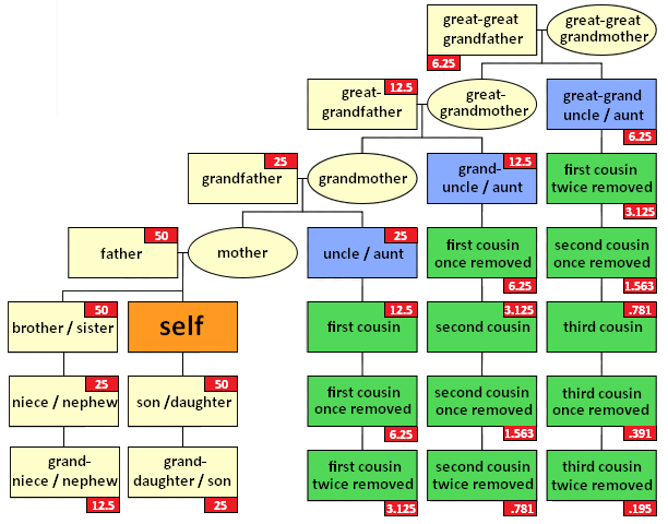English: A chart illustrating the different ty...