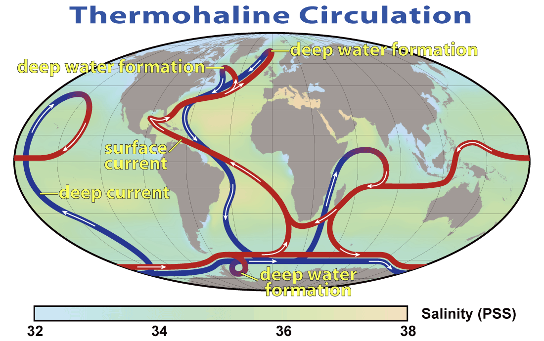 Circulación termohalina