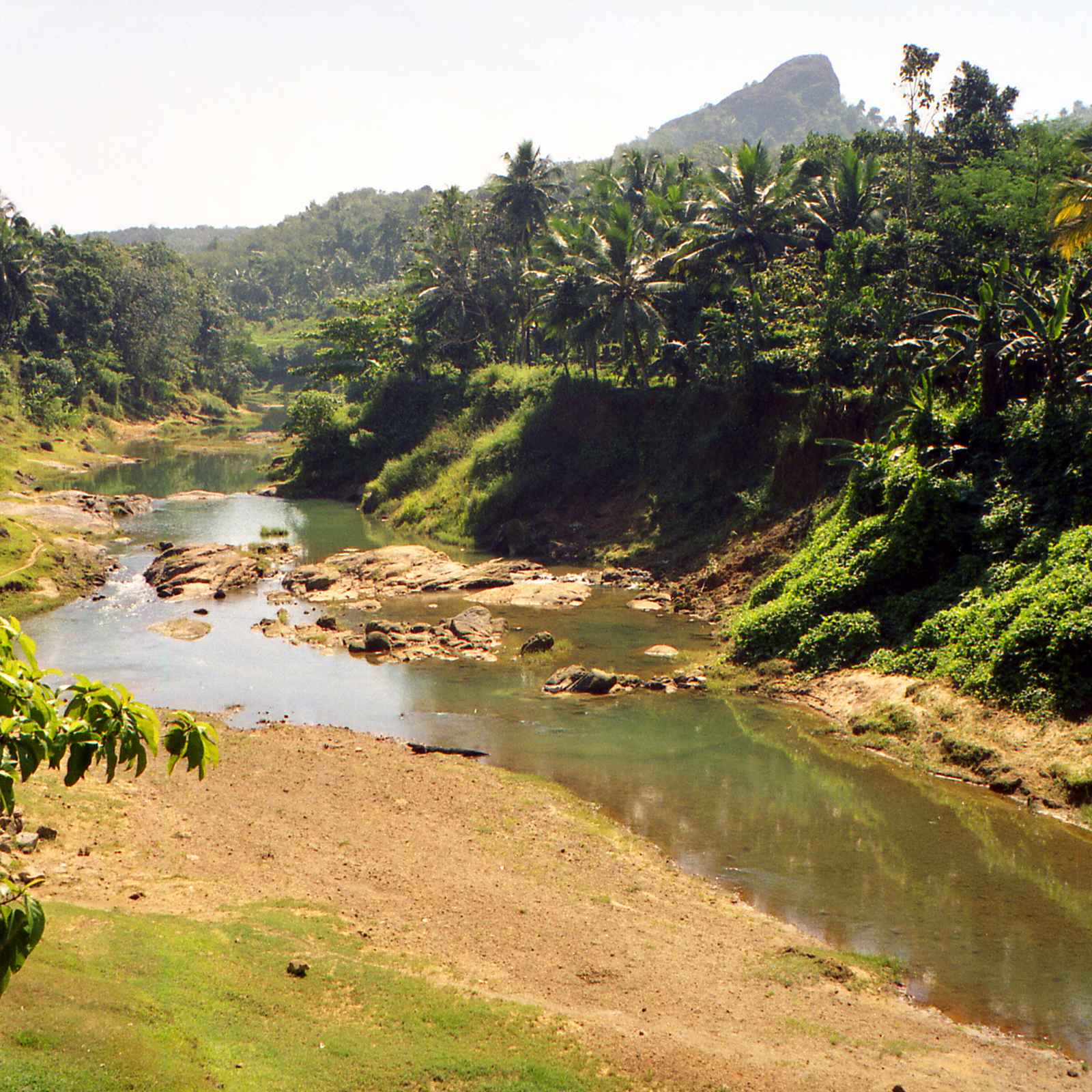 Description Kerala landscape.jpg