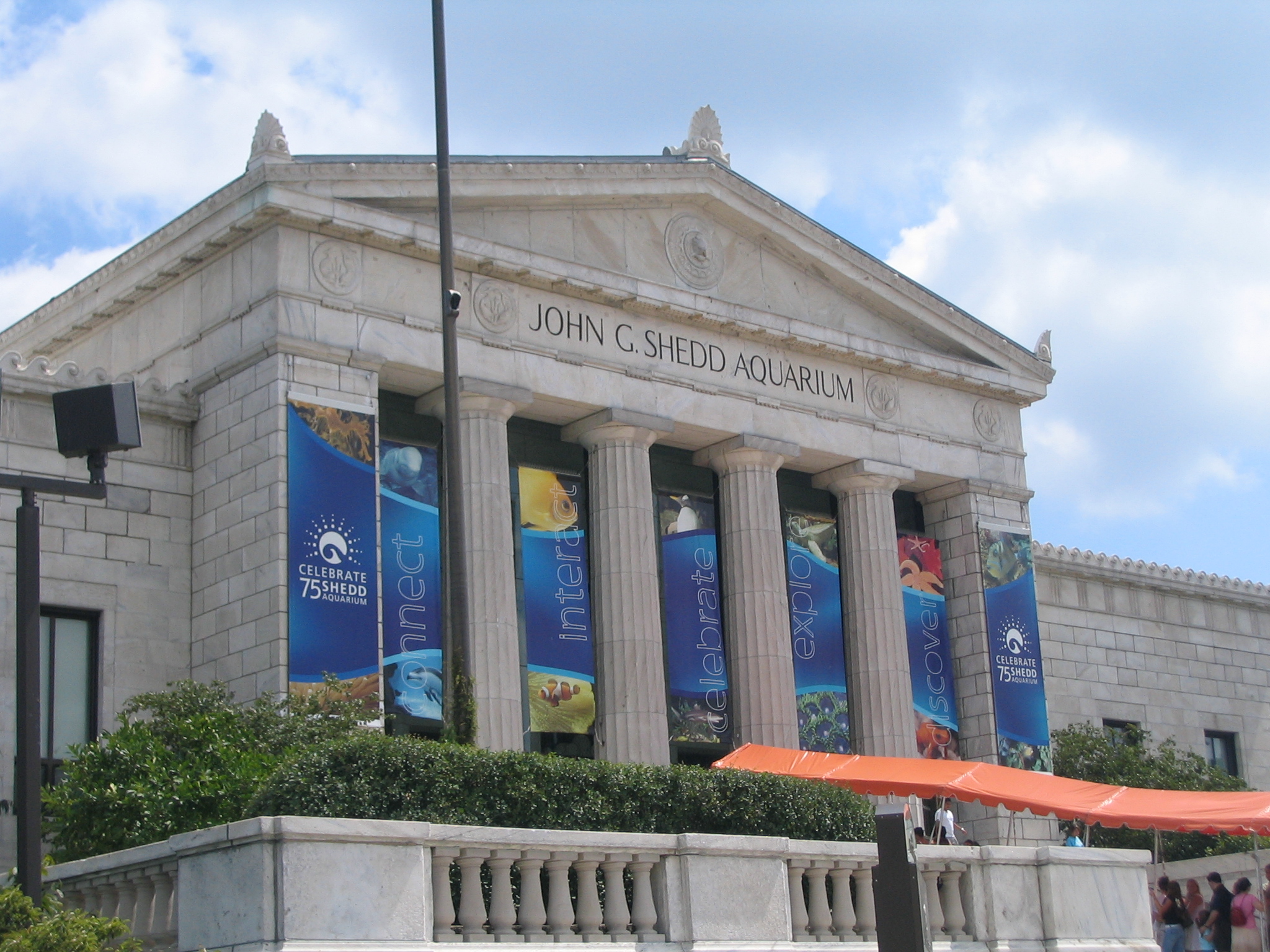 shedd aquarium now that you now about the shedd aquarium