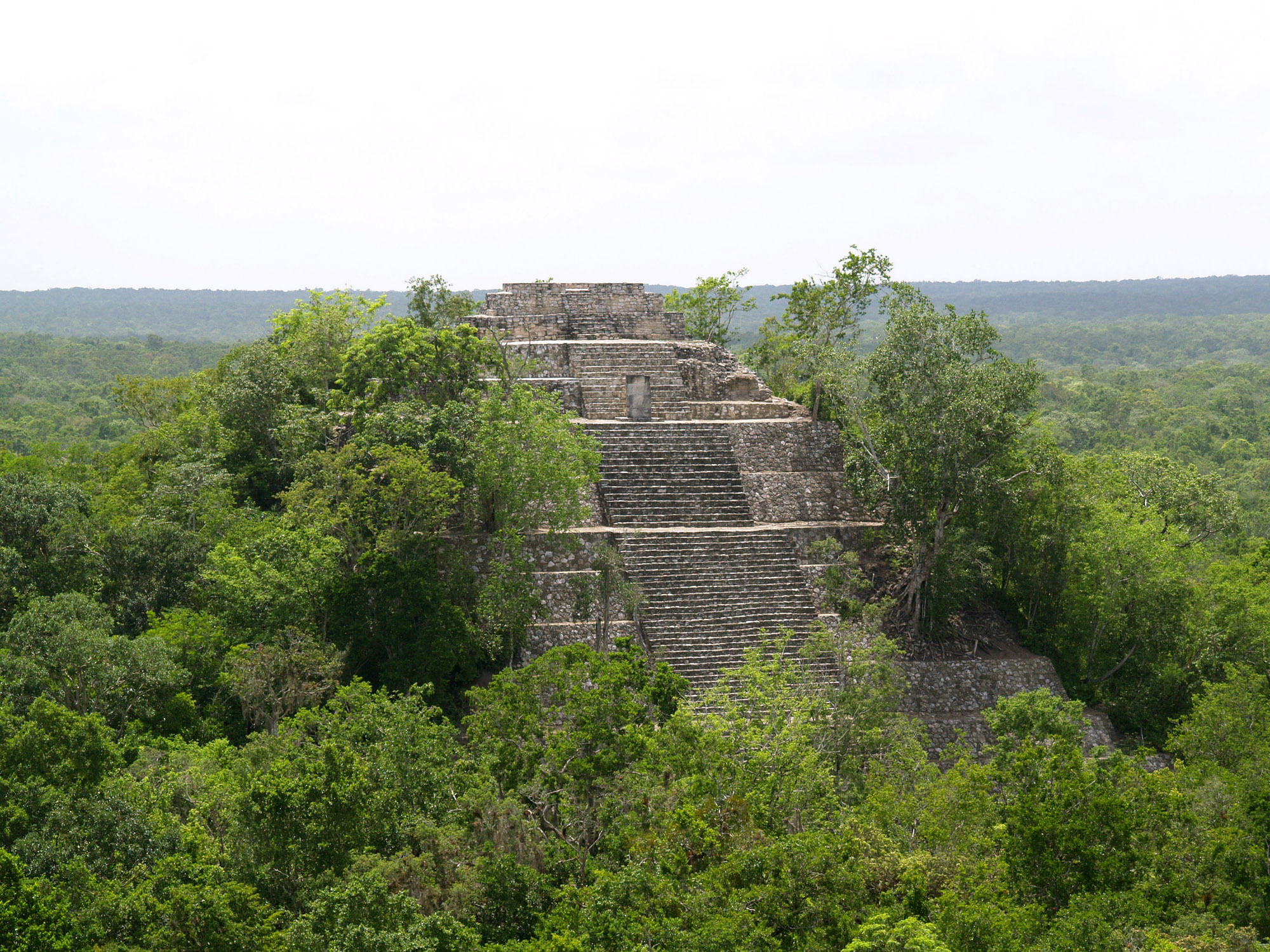 Calakmul, Mexico.  Photo on Wikimedia Commons by PhilippN.