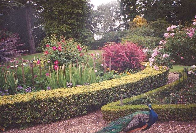 File:Warwick Castle Peacock Garden - geograph.org.uk - 144918.jpg