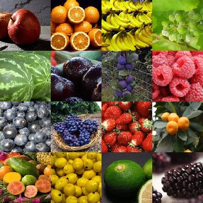 Les fruits du monde