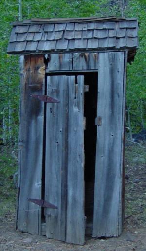 English: Outhouse in Woodland