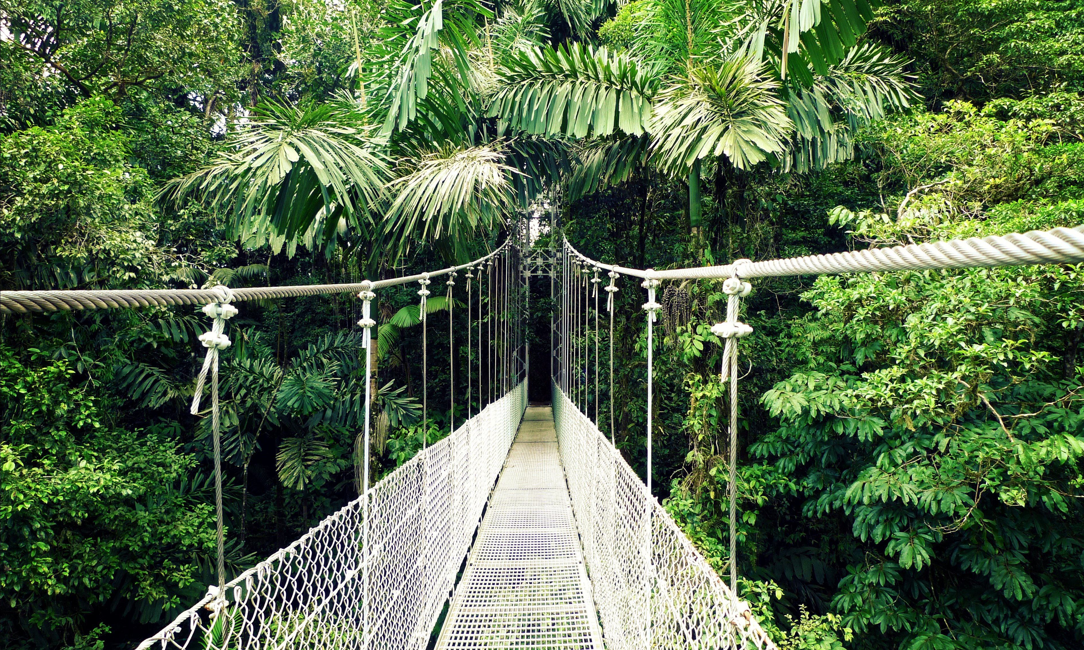 Federao Brasileira de Bridge