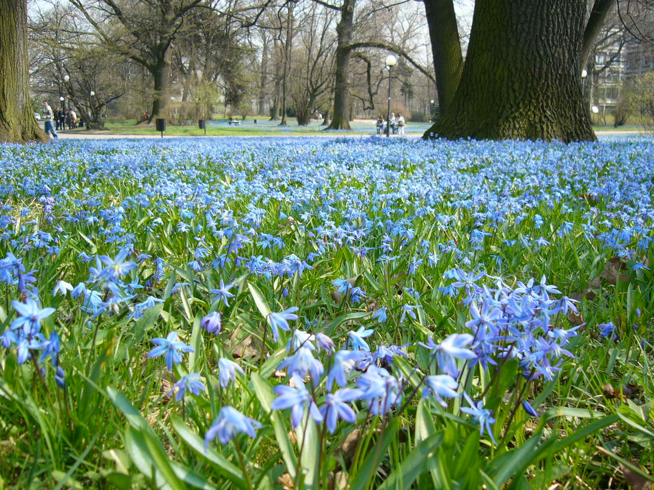 Park_Klepacza_Lodz.jpg