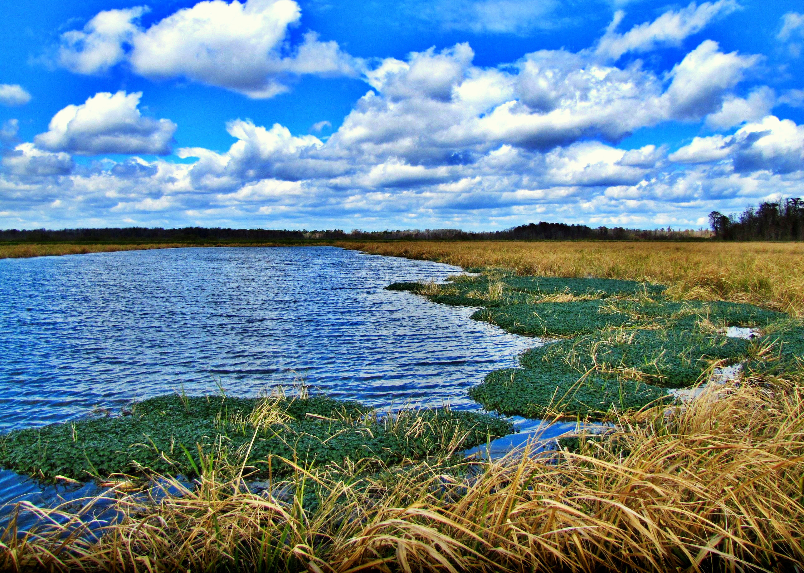 Nature Hdr