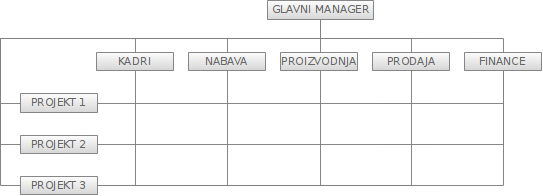 Projektno-matrična organizacijska struktura