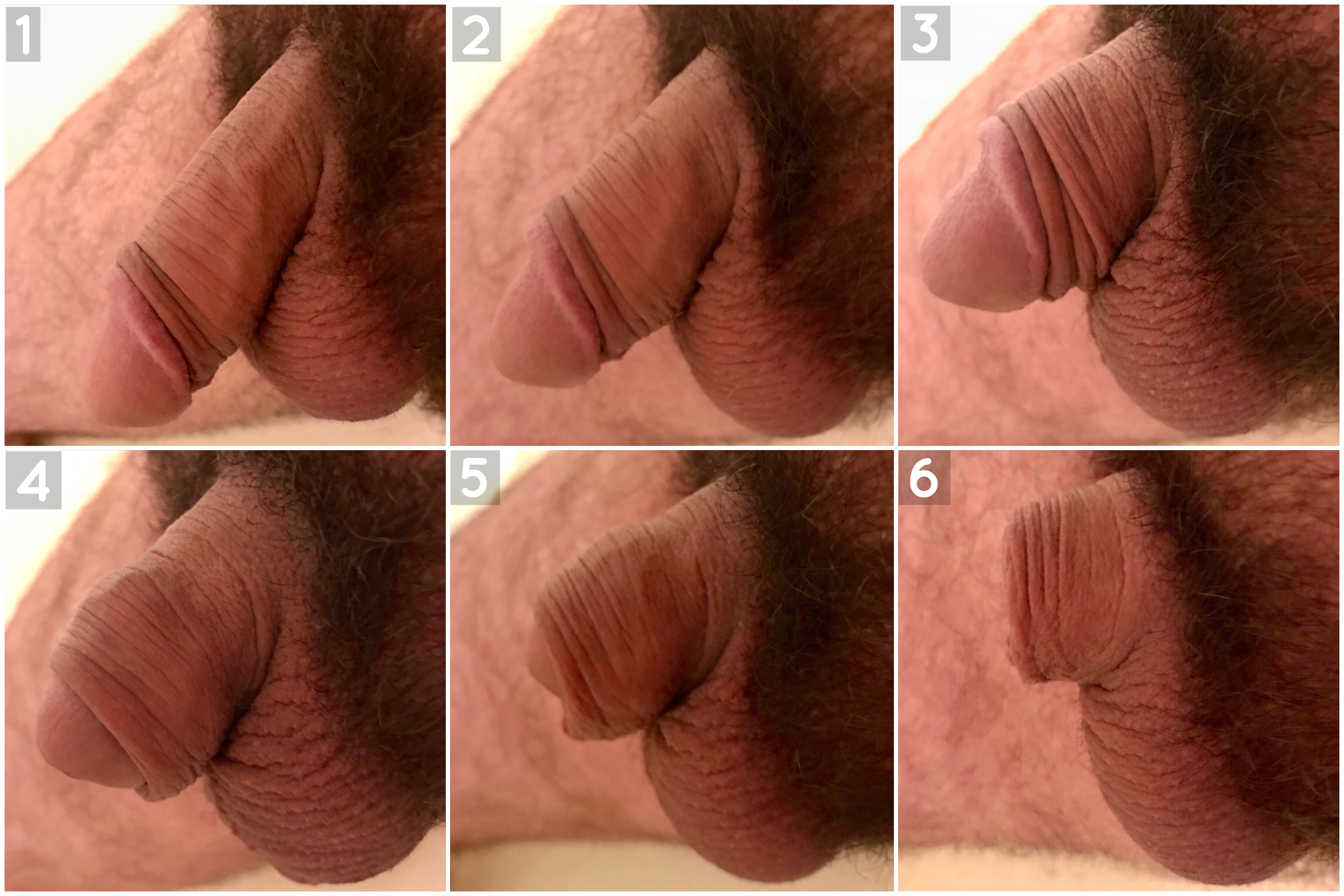 Peach shaped bottom cock testicles images