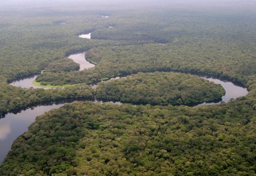 File:La rivière Lulilaka, parc national de Salonga, 2005.jpg