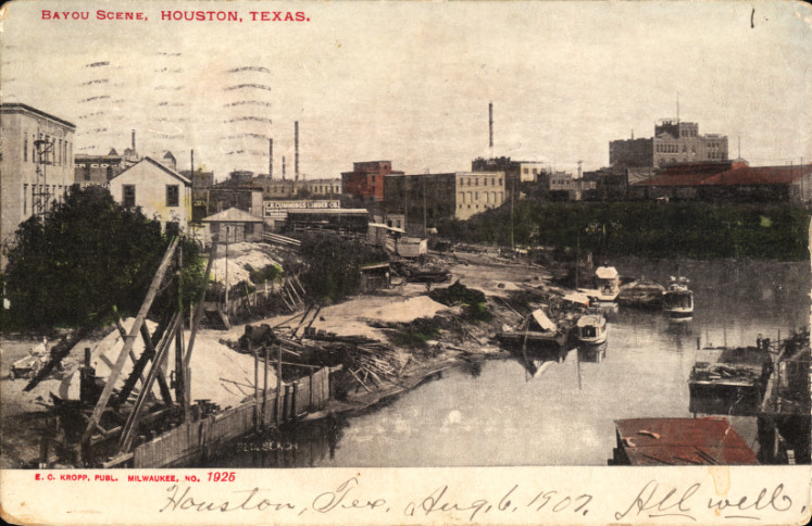 Bayou Scene