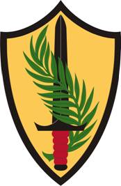 Central Command insignia.jpg