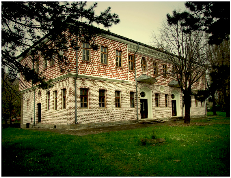 Slavejkov school