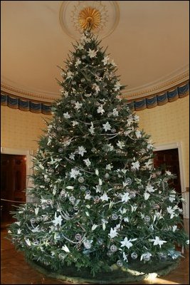 English: The 2005 White House Christmas Tree, ...