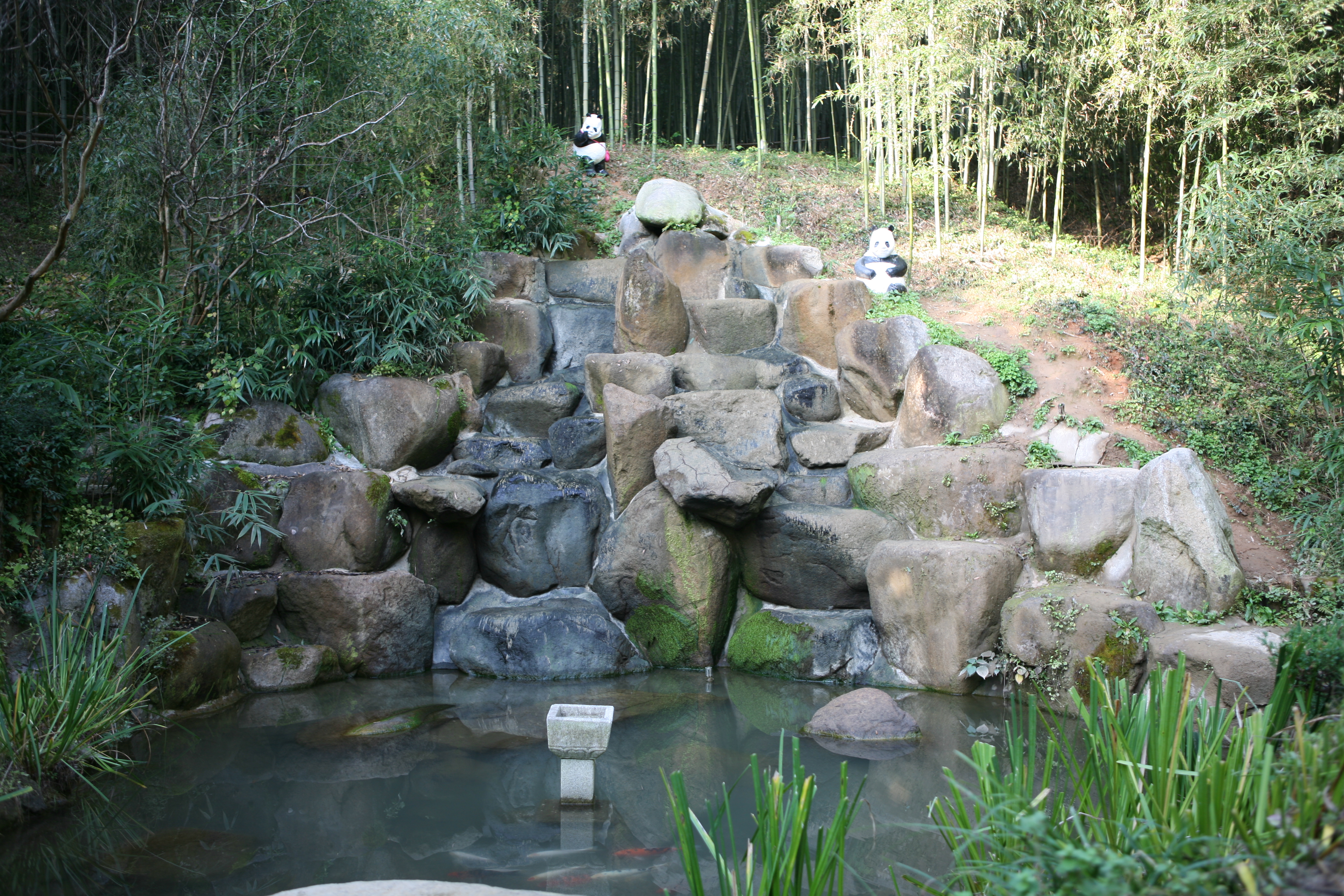 bamboo pond