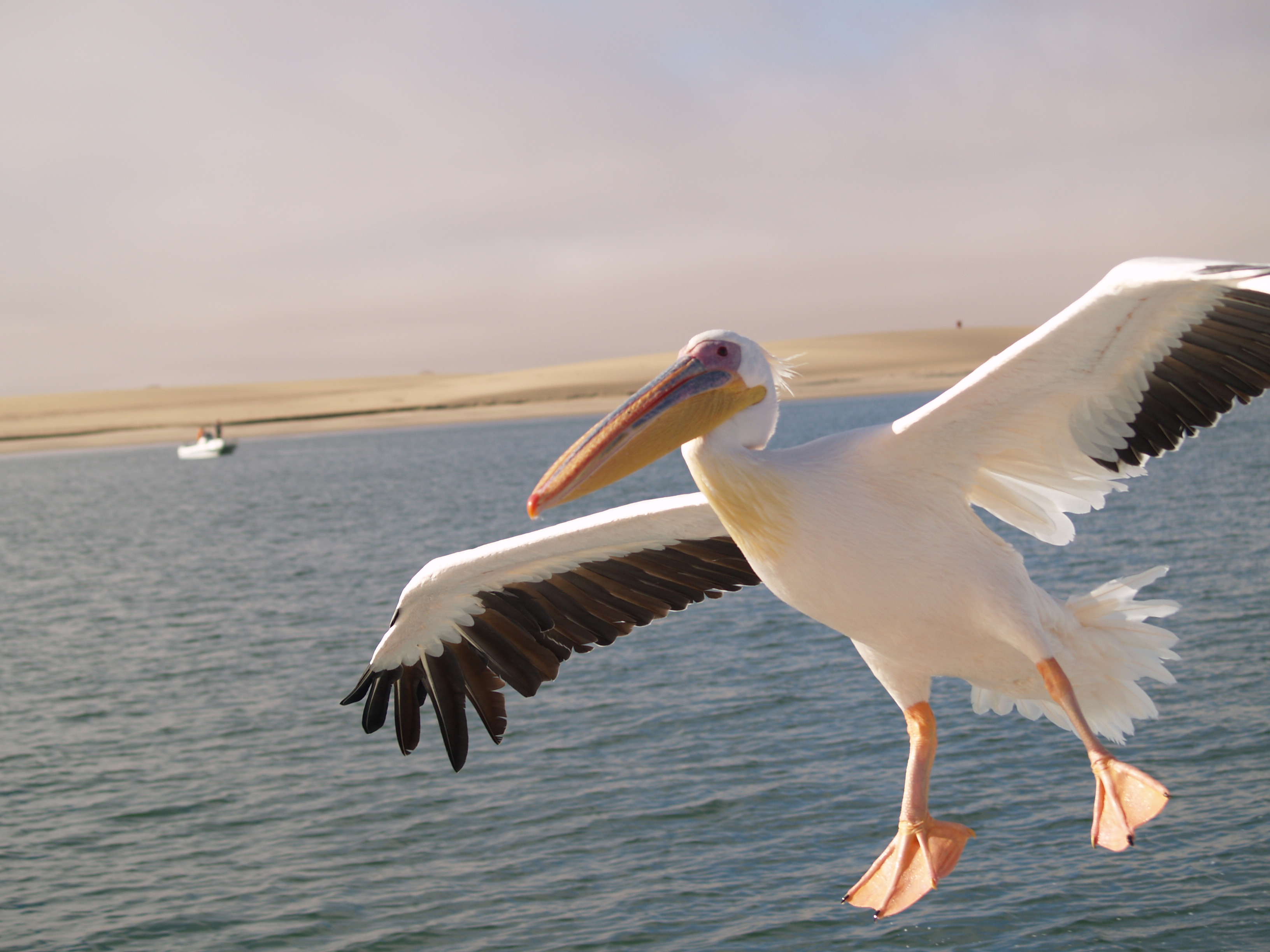 walvis bay namibia