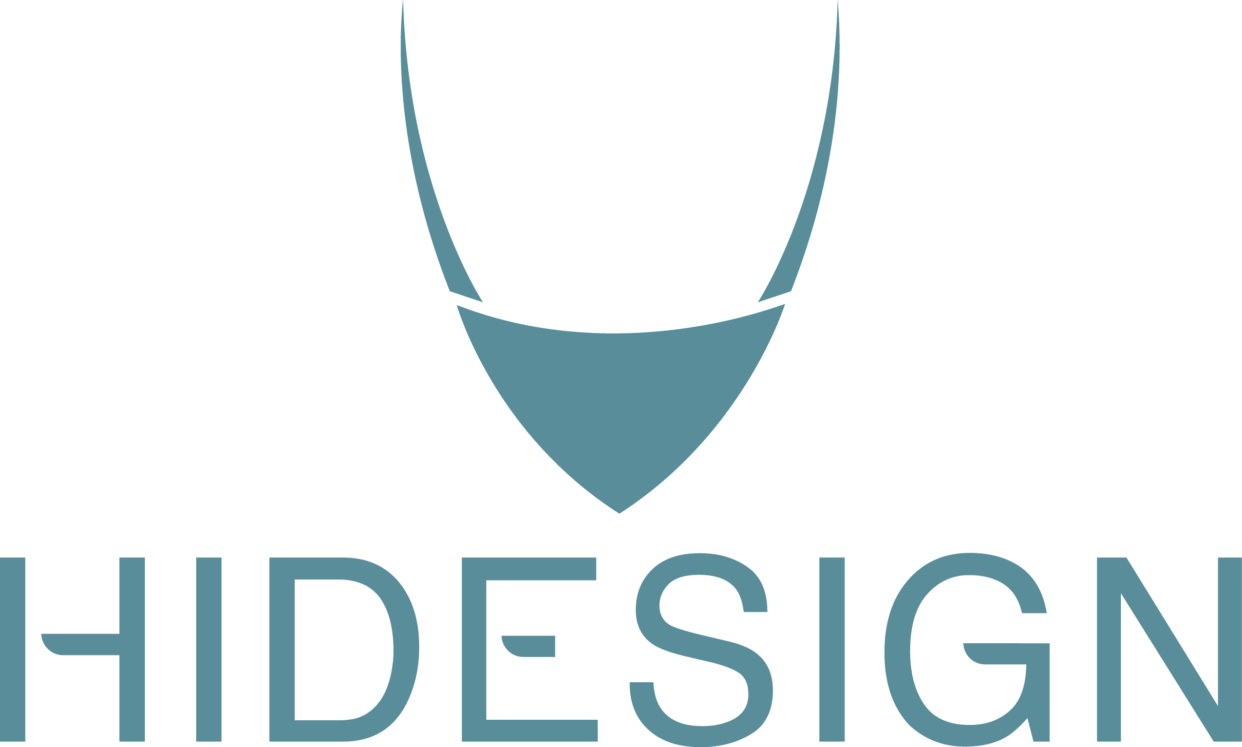 hidesign logo withouttag