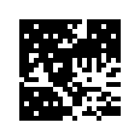 QR code with data (noise) added.