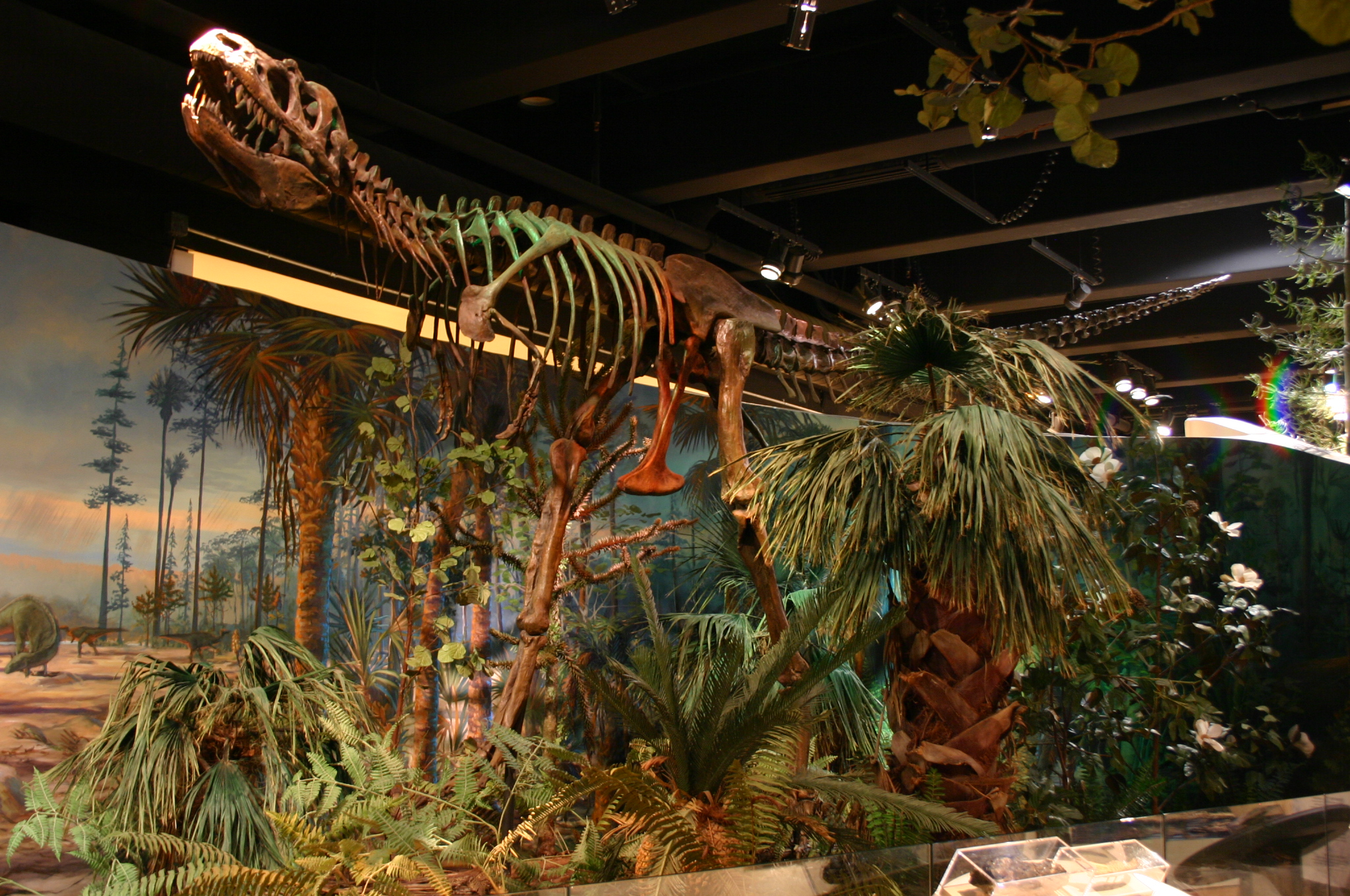 Albertosaurus_(2386806536).jpg