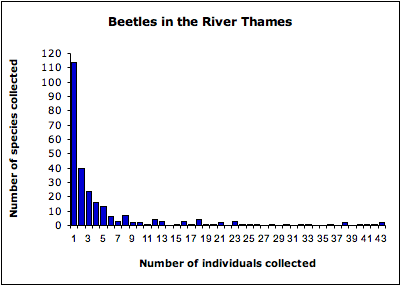 Hollow_curve_beetles.png