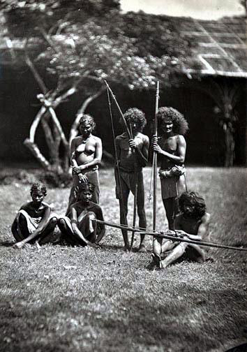 Sri Lanka aborigines vedda at work