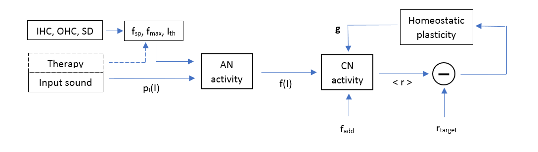 Schematic representation of the computational model.