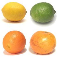 Плоды цитрусовых растений: лимон, лайм, апельсин, мандарин
