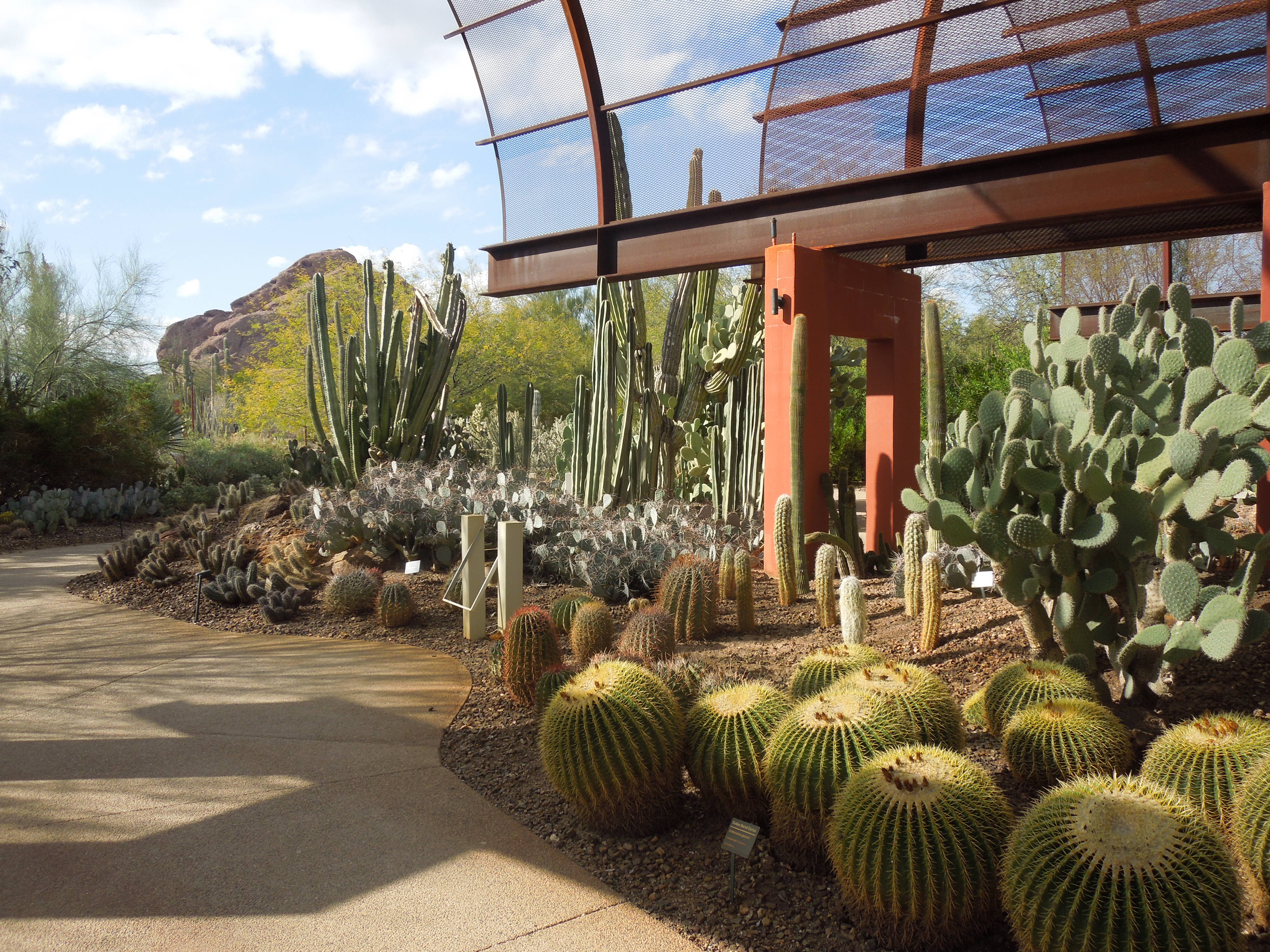 Desert Botanical Gardens