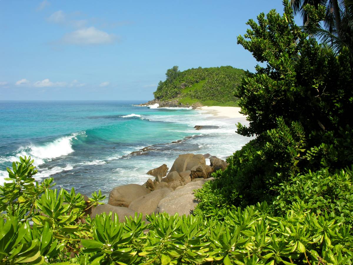 http://upload.wikimedia.org/wikipedia/commons/5/5b/Seychelles_020.JPG