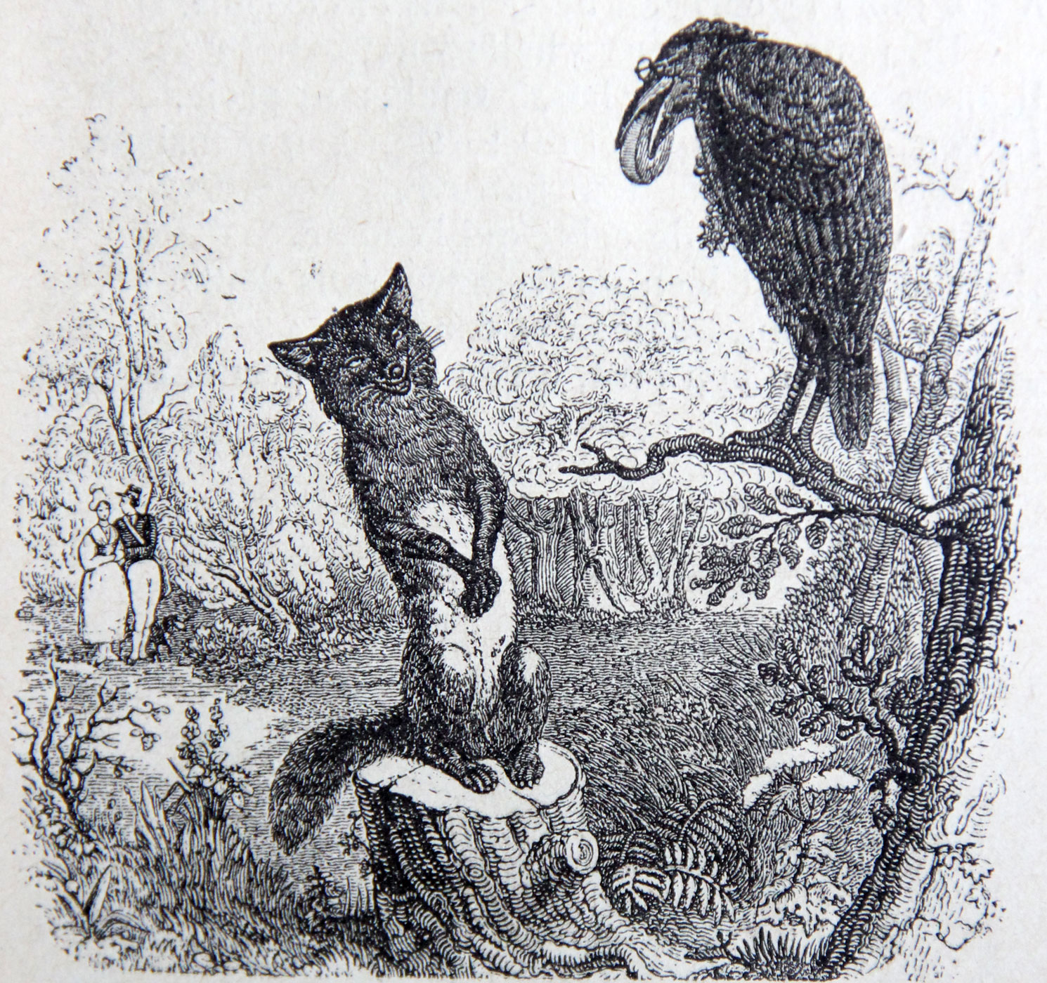 gravure, illustration pour la fable de La Fontaine Le corbeau et le renard