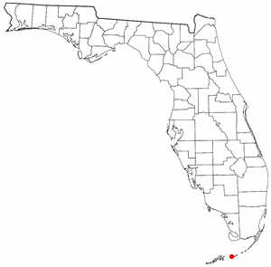 Loko di Marathon, Florida