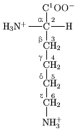 Lysine contains six carbon atoms. The central carbon atom connected to the amino and carboxyl groups is labeled alpha. The four carbon atoms in its linear side chain are labeled from beta (closest to the central carbon), gamma, delta, through to the epsilon carbon at the end of the chain and furthest from the central carbon.