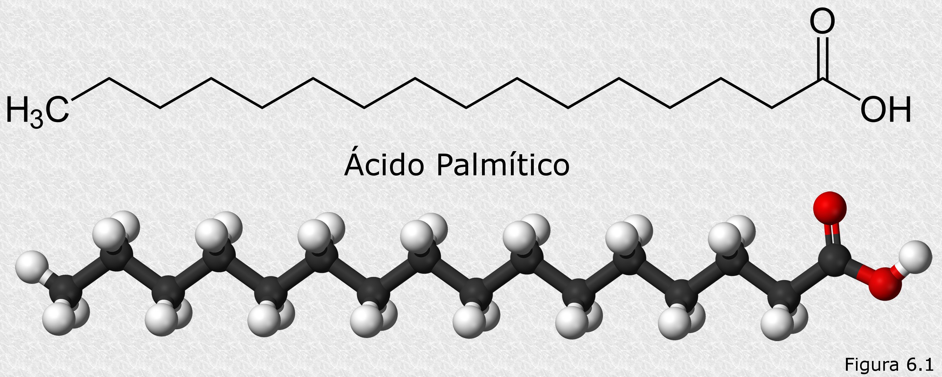 Acido Palmitico