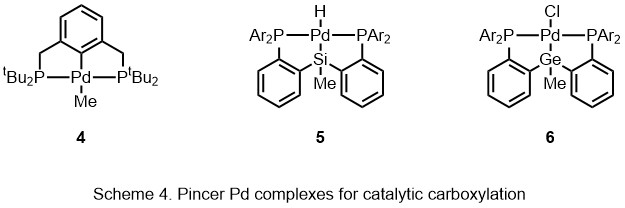 Схема 4 Пинцетные комплексы Pd для каталитического карбоксилирования