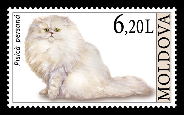 pers (perzische kat) op moldavische postzegel