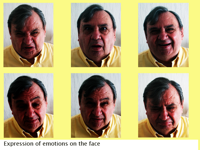 English: Facial emotions.