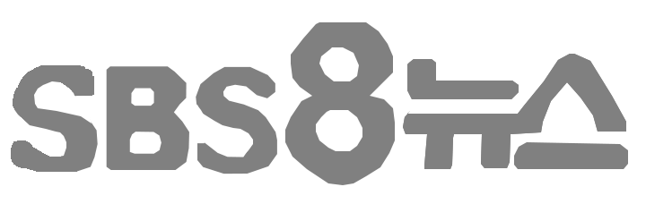 파일:SBS 8 News logo old 1994.png