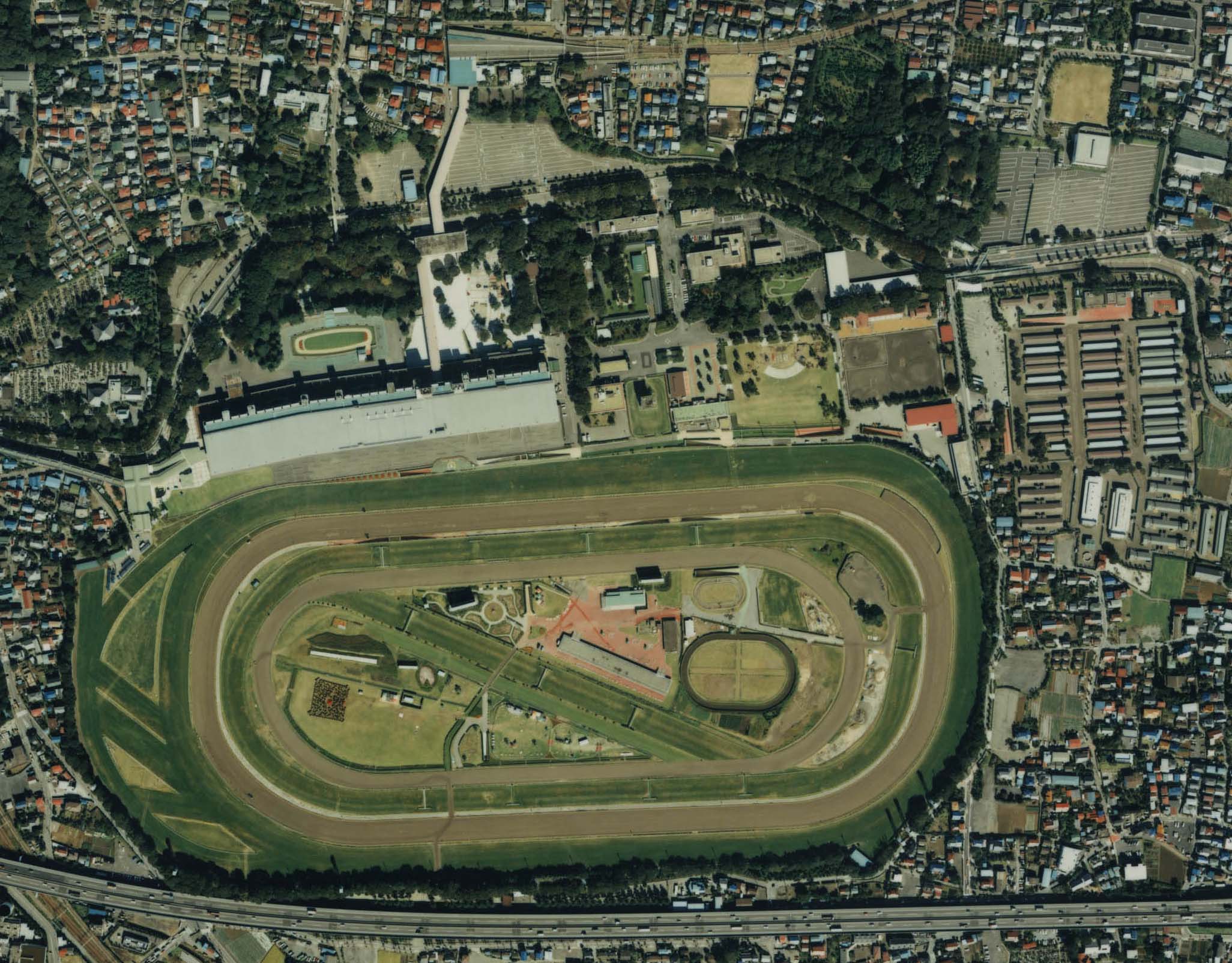 Tokyo Racecourse