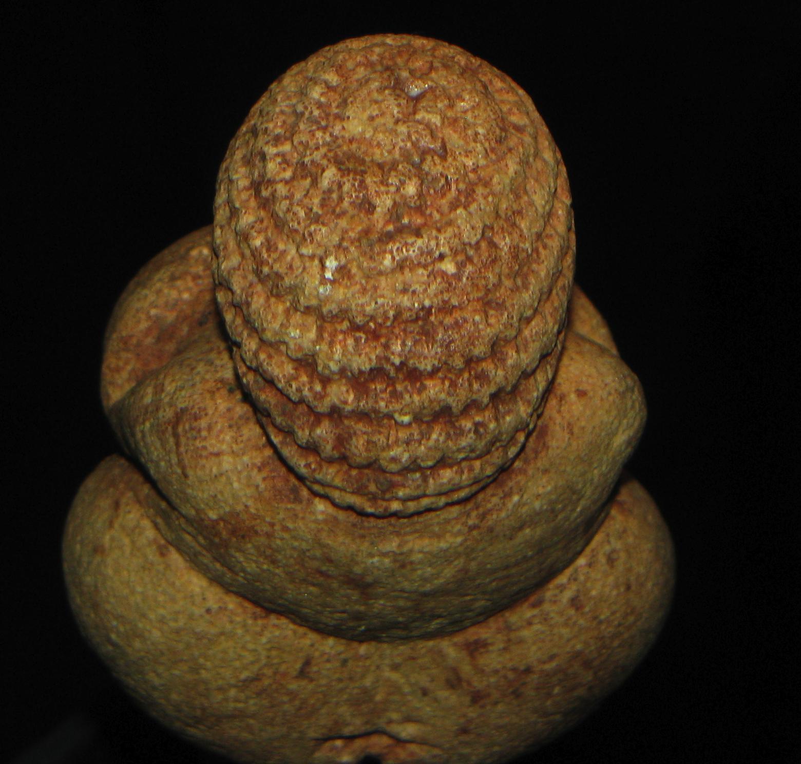 The Venus Of Willendorf [1996]