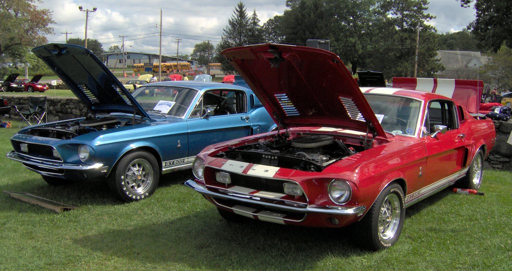 File1968 GT500 and GT350JPG