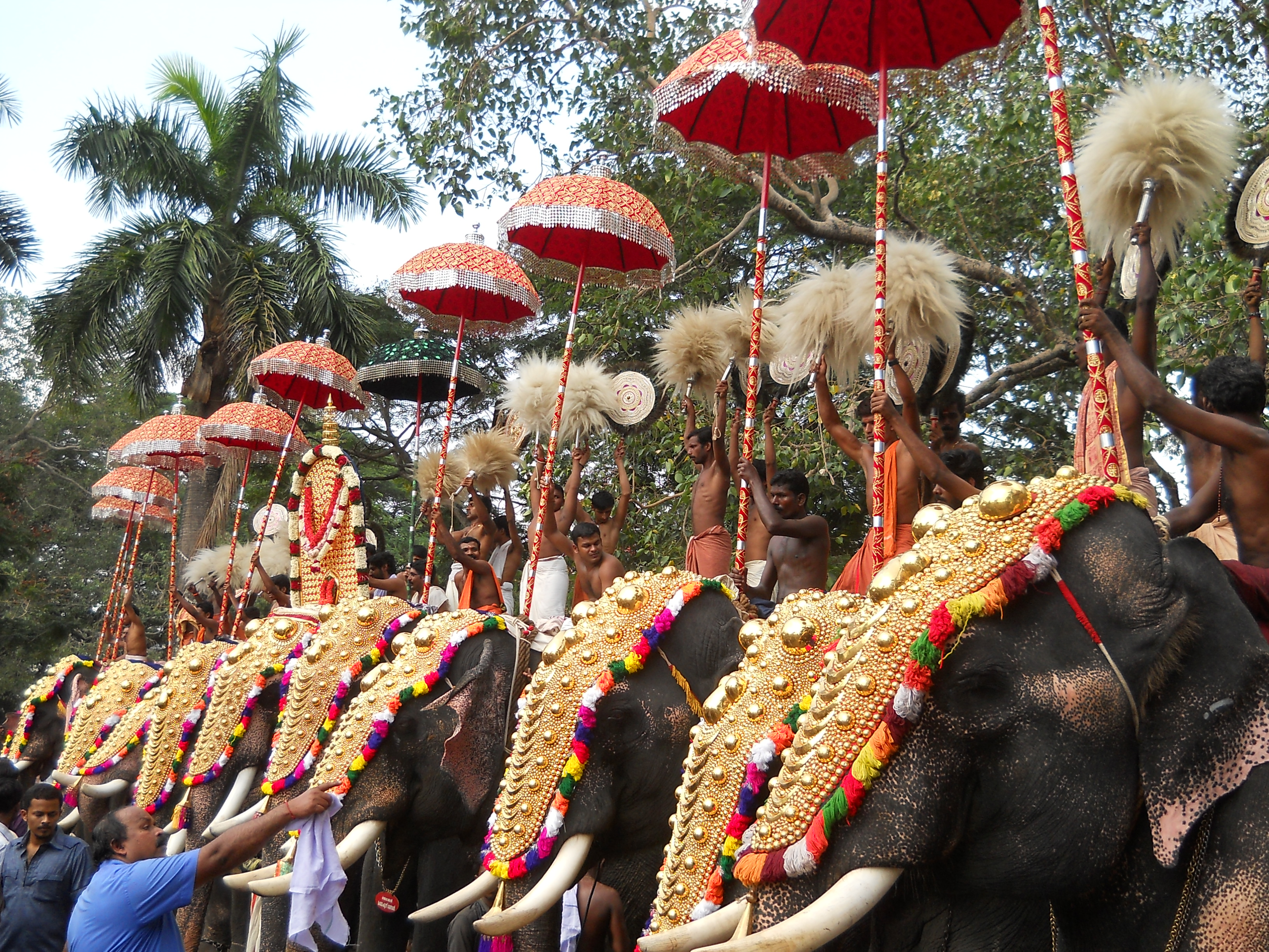 How Many Elephants Are There In Thrissur Pooram