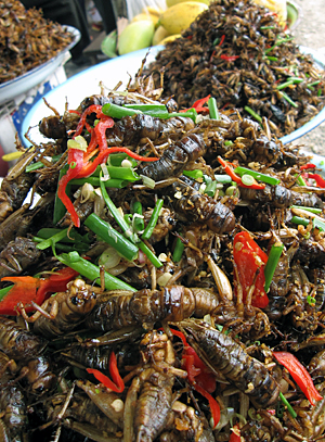 Fried insects for sale in Cambodia