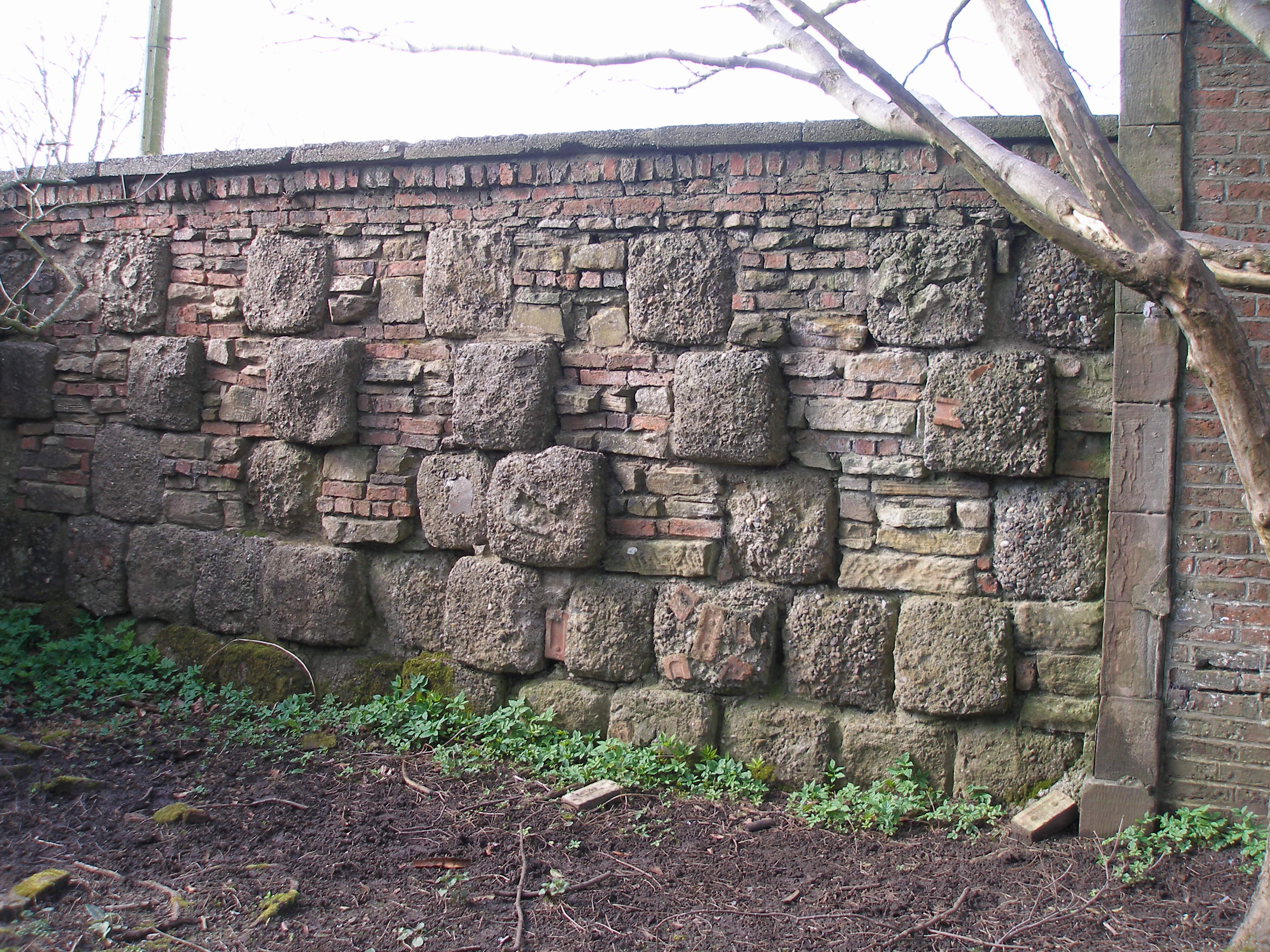 garden wall in kitchen