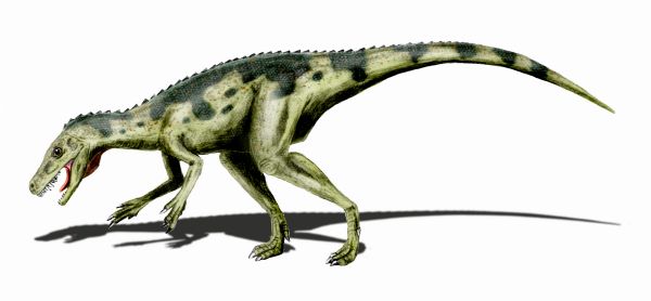 Файл:Herrerasaurus BW.jpg