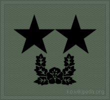 파일:KA insignia (cloth) Major General.gif