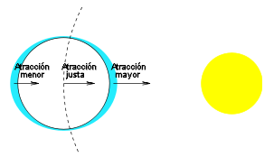 La fuerza de atracción asociada a la órbita y al período solamente se ejerce sobre puntos situados a la misma distancia que el centro de masas. Las zonas más lejanas están menos atraídas y las más cercanas lo están más.