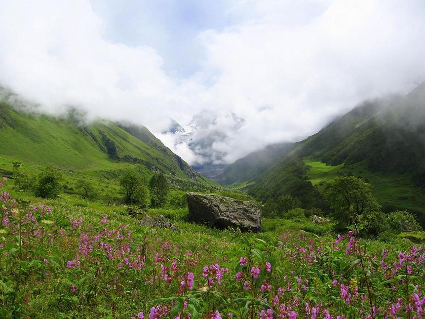 Description Valley of flowers uttaranchal full view.JPG