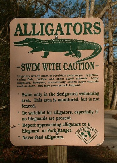 alligator warning sign
