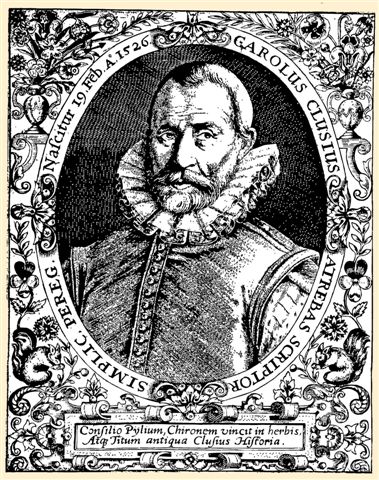 carolus clusius